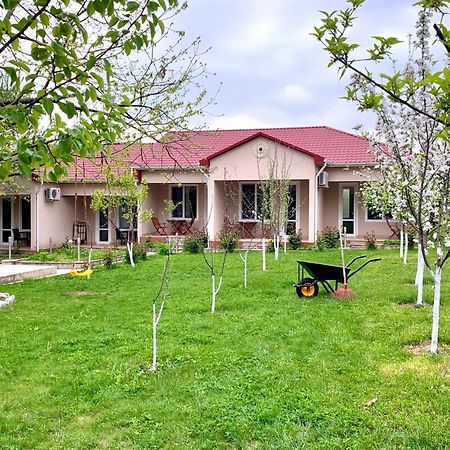 Cozy Family Cottages Vendam Exterior photo